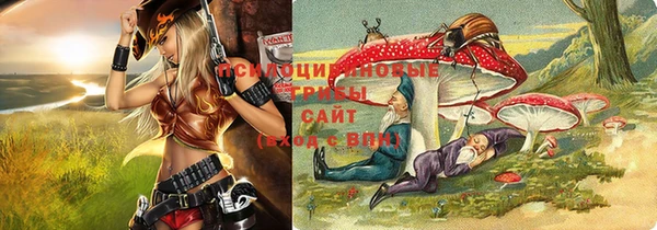 а пвп мука Алзамай