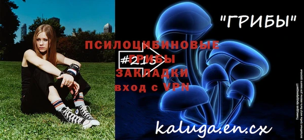 спайс Алексеевка