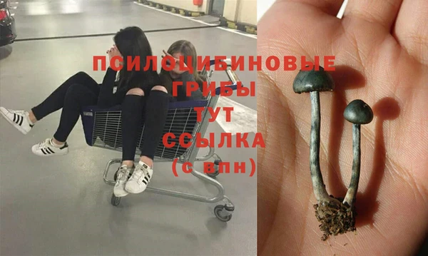 а пвп мука Алзамай
